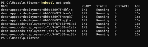 kubectl get pods