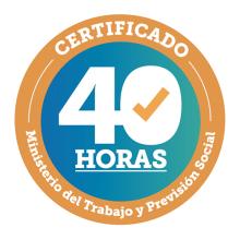 insignia 40h Chile